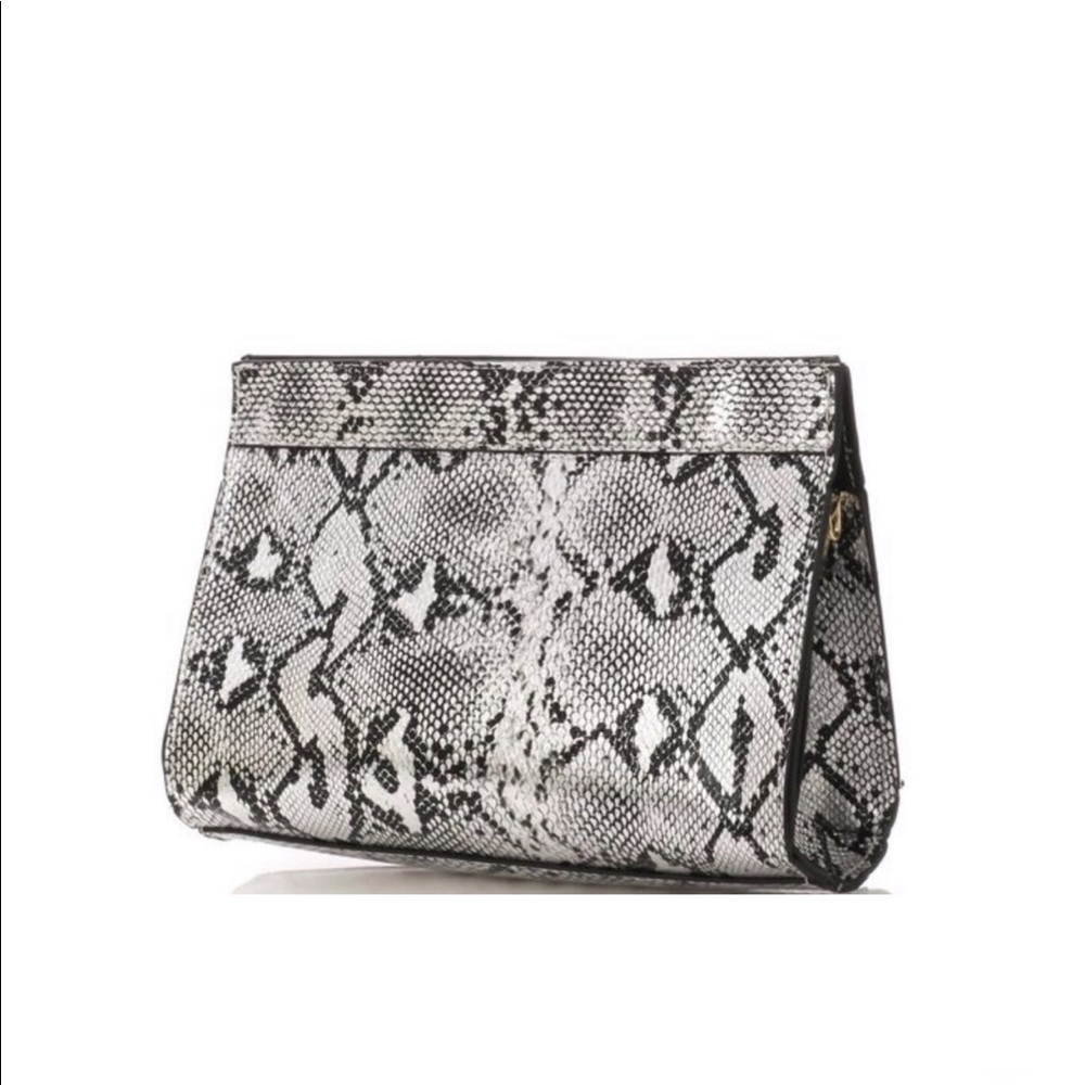 Snakeskin Clutch